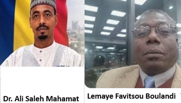 Diaspora tchadienne : une élection transparente qui fait école