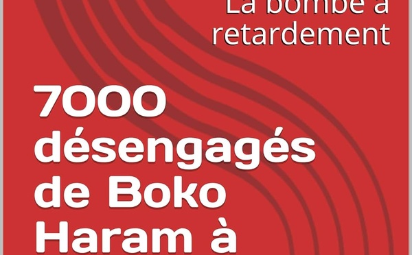 L'échec du programme de DDRR constitue une bombe à retardement pour la région du Bassin du Lac Tchad et au-delà.